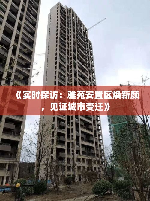 《實(shí)時(shí)探訪：雅苑安置區(qū)煥新顏，見證城市變遷》