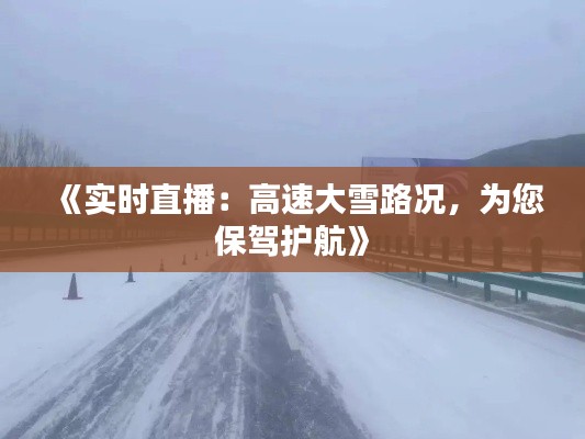 《實時直播：高速大雪路況，為您保駕護航》