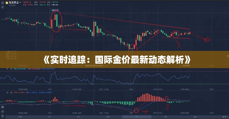 《實時追蹤：國際金價最新動態(tài)解析》