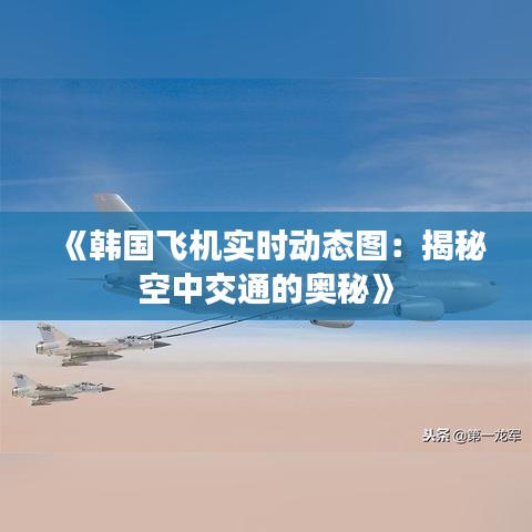 《韓國(guó)飛機(jī)實(shí)時(shí)動(dòng)態(tài)圖：揭秘空中交通的奧秘》