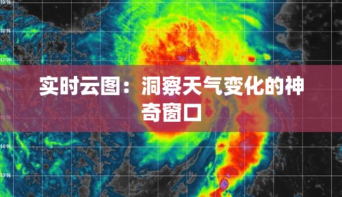 2024年12月13日 第8頁