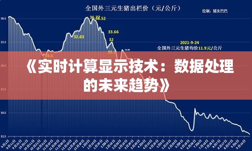 《實(shí)時計算顯示技術(shù)：數(shù)據(jù)處理的未來趨勢》