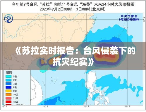 2024年12月13日 第4頁