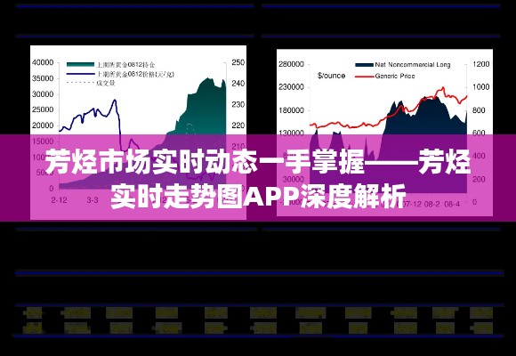 芳烴市場實(shí)時動態(tài)一手掌握——芳烴實(shí)時走勢圖APP深度解析