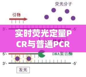 2024年12月14日 第9頁