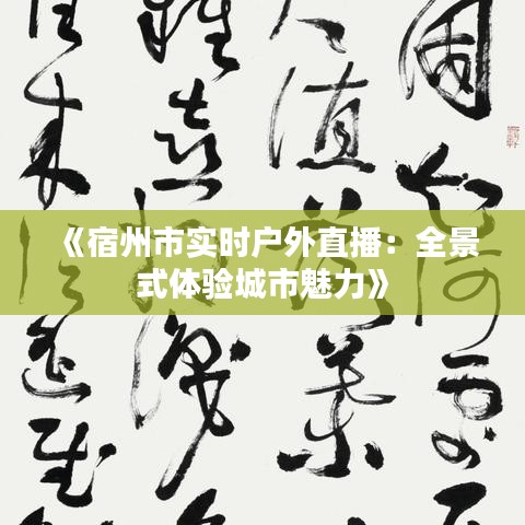 《宿州市實(shí)時(shí)戶外直播：全景式體驗(yàn)城市魅力》