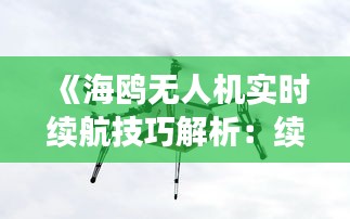 《海鷗無人機實時續(xù)航技巧解析：續(xù)航無憂，航拍更暢快》