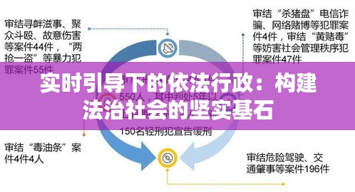 實時引導下的依法行政：構(gòu)建法治社會的堅實基石