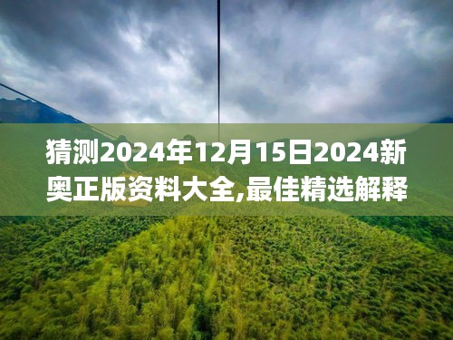 2024年12月15日 第7頁