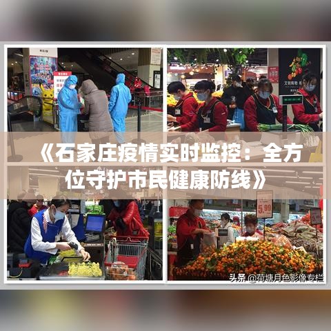 《石家莊疫情實時監(jiān)控：全方位守護市民健康防線》