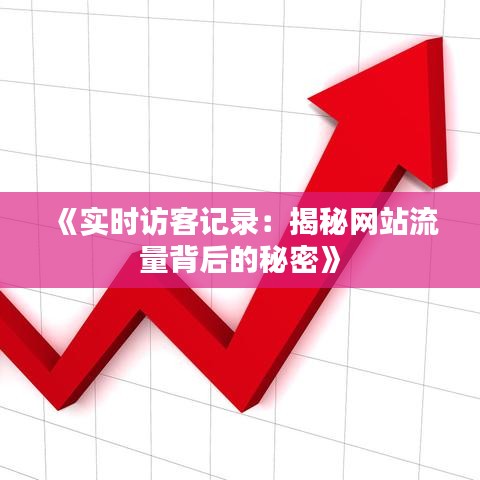 《實時訪客記錄：揭秘網站流量背后的秘密》