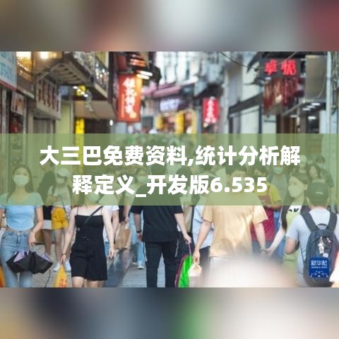 大三巴免費資料,統(tǒng)計分析解釋定義_開發(fā)版6.535