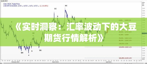 《實(shí)時(shí)洞察：匯率波動下的大豆期貨行情解析》