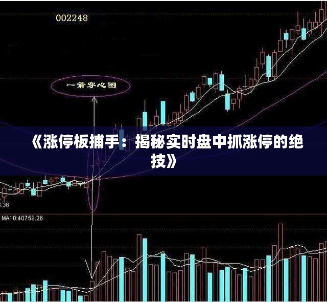 2024年12月17日 第9頁(yè)