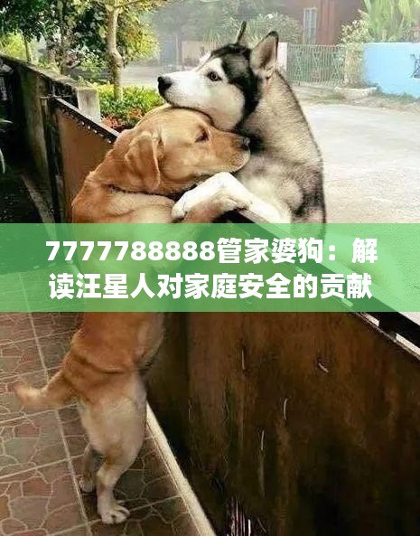 7777788888管家婆狗：解讀汪星人對家庭安全的貢獻(xiàn)