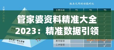 管家婆資料精準(zhǔn)大全2023：精準(zhǔn)數(shù)據(jù)引領(lǐng)效率革命，領(lǐng)航現(xiàn)代企業(yè)資源管理風(fēng)潮