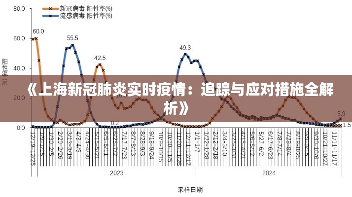 《上海新冠肺炎實時疫情：追蹤與應(yīng)對措施全解析》