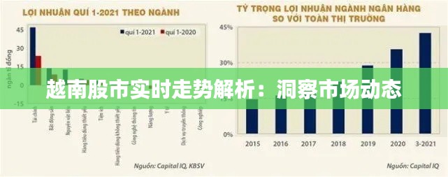 越南股市實時走勢解析：洞察市場動態(tài)