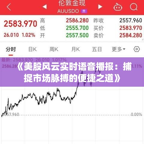 《美股風(fēng)云實時語音播報：捕捉市場脈搏的便捷之道》