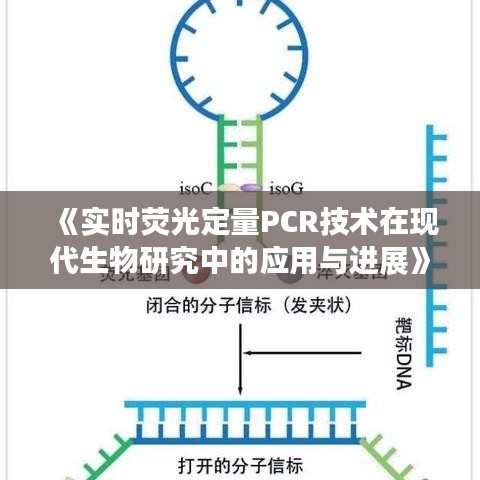 《實時熒光定量PCR技術(shù)在現(xiàn)代生物研究中的應(yīng)用與進展》