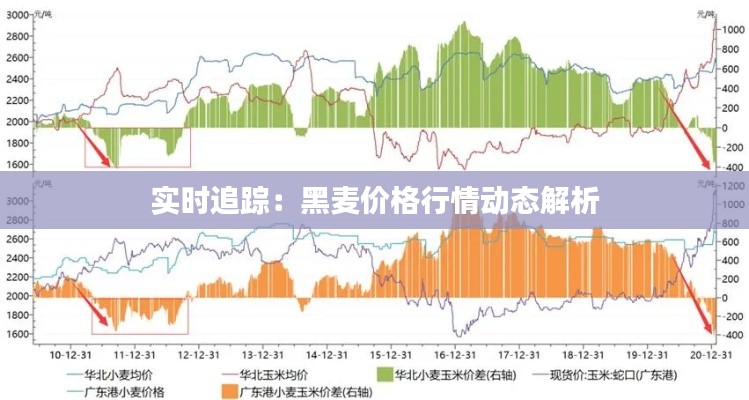 實(shí)時(shí)追蹤：黑麥價(jià)格行情動(dòng)態(tài)解析