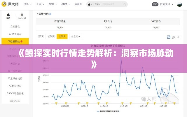 《鯨探實(shí)時(shí)行情走勢(shì)解析：洞察市場(chǎng)脈動(dòng)》