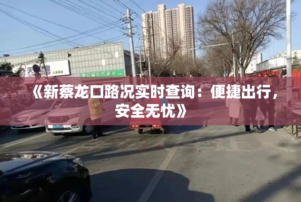 《新蔡龍口路況實(shí)時(shí)查詢：便捷出行，安全無憂》