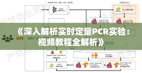 《深入解析實時定量PCR實驗：視頻教程全解析》