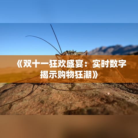 《雙十一狂歡盛宴：實時數(shù)字揭示購物狂潮》