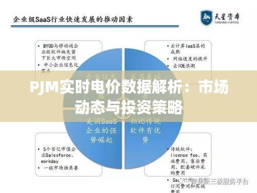 PJM實時電價數(shù)據解析：市場動態(tài)與投資策略