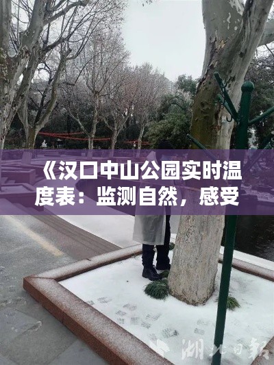 《漢口中山公園實時溫度表：監(jiān)測自然，感受時光流轉(zhuǎn)》