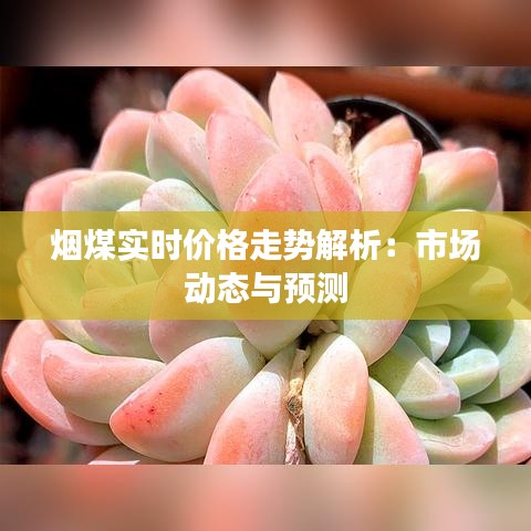 煙煤實(shí)時(shí)價(jià)格走勢(shì)解析：市場(chǎng)動(dòng)態(tài)與預(yù)測(cè)