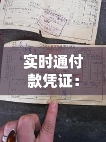 實時通付款憑證：支票的數(shù)字化替代品？