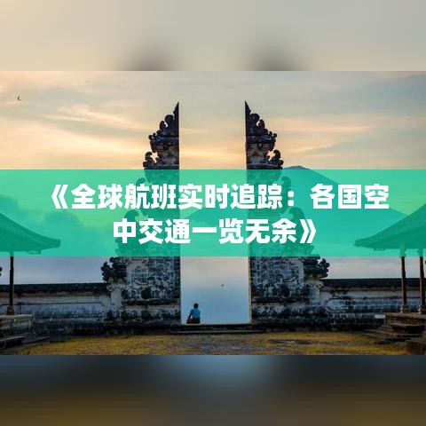 《全球航班實(shí)時(shí)追蹤：各國(guó)空中交通一覽無余》