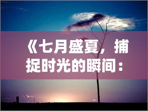 《七月盛夏，捕捉時光的瞬間：實時素材精選》