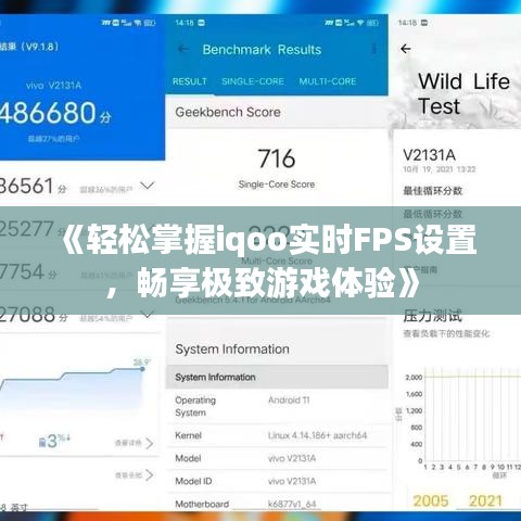 《輕松掌握iqoo實時FPS設(shè)置，暢享極致游戲體驗》