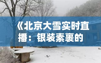 《北京大雪實時直播：銀裝素裹的古城美景盡收眼底》