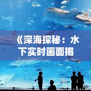 《深海探秘：水下實(shí)時(shí)畫面揭示未知世界》