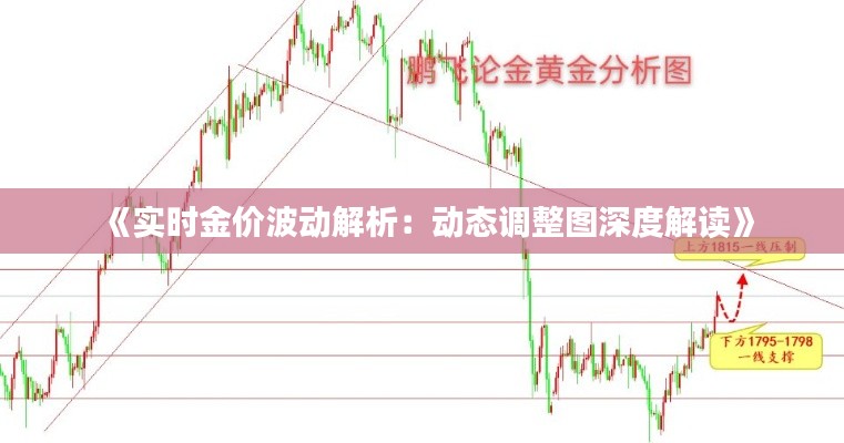 《實時金價波動解析：動態(tài)調(diào)整圖深度解讀》