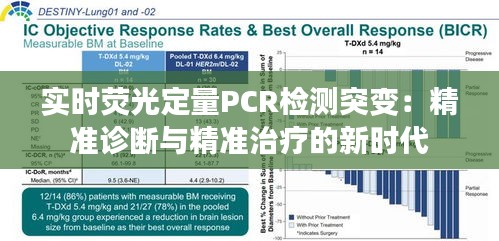 實(shí)時熒光定量PCR檢測突變：精準(zhǔn)診斷與精準(zhǔn)治療的新時代