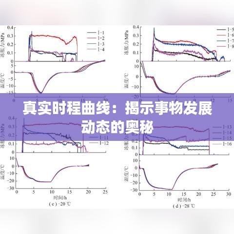 真實時程曲線：揭示事物發(fā)展動態(tài)的奧秘