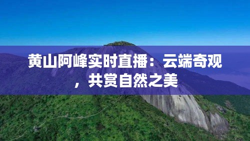 黃山阿峰實(shí)時(shí)直播：云端奇觀，共賞自然之美