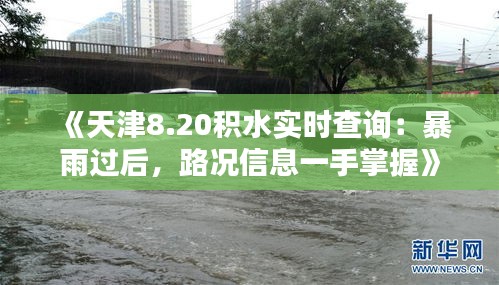 《天津8.20積水實時查詢：暴雨過后，路況信息一手掌握》