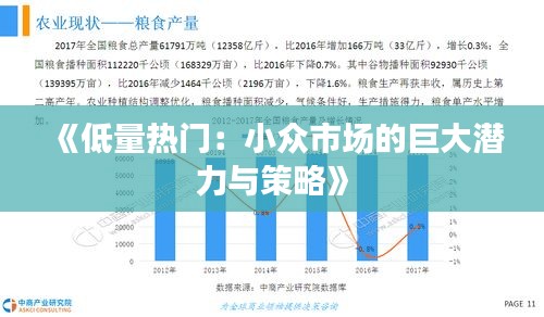 《低量熱門(mén)：小眾市場(chǎng)的巨大潛力與策略》