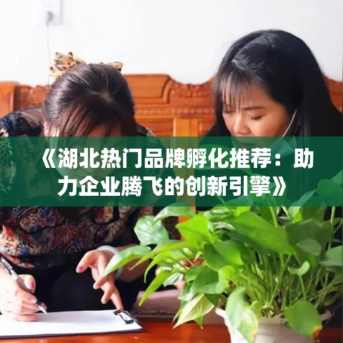 《湖北熱門品牌孵化推薦：助力企業(yè)騰飛的創(chuàng)新引擎》