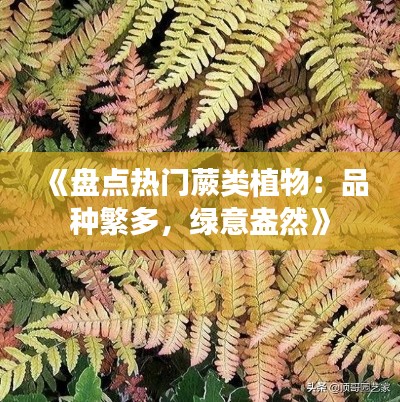 《盤點熱門蕨類植物：品種繁多，綠意盎然》