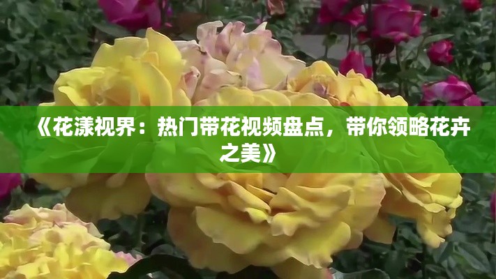 《花漾視界：熱門帶花視頻盤點，帶你領(lǐng)略花卉之美》