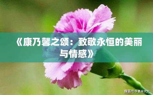 《康乃馨之頌：致敬永恒的美麗與情感》