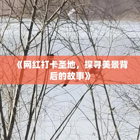 《網(wǎng)紅打卡圣地，探尋美景背后的故事》