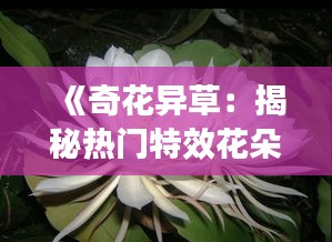 《奇花異草：揭秘?zé)衢T特效花朵的魅力》